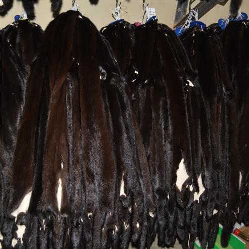 動物皮草有哪些？